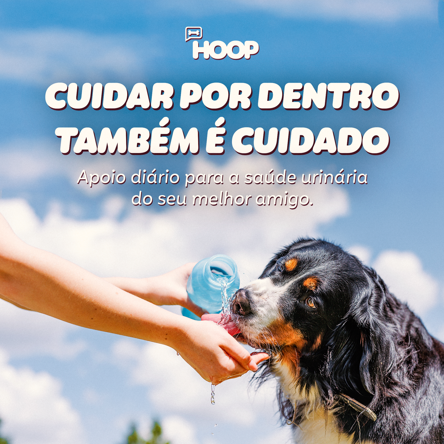 Cranberry - Suplemento Canino