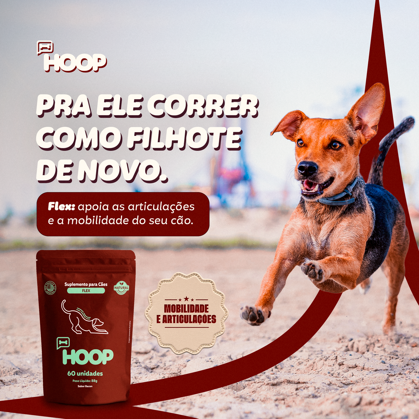 Flex - Suplemento Canino