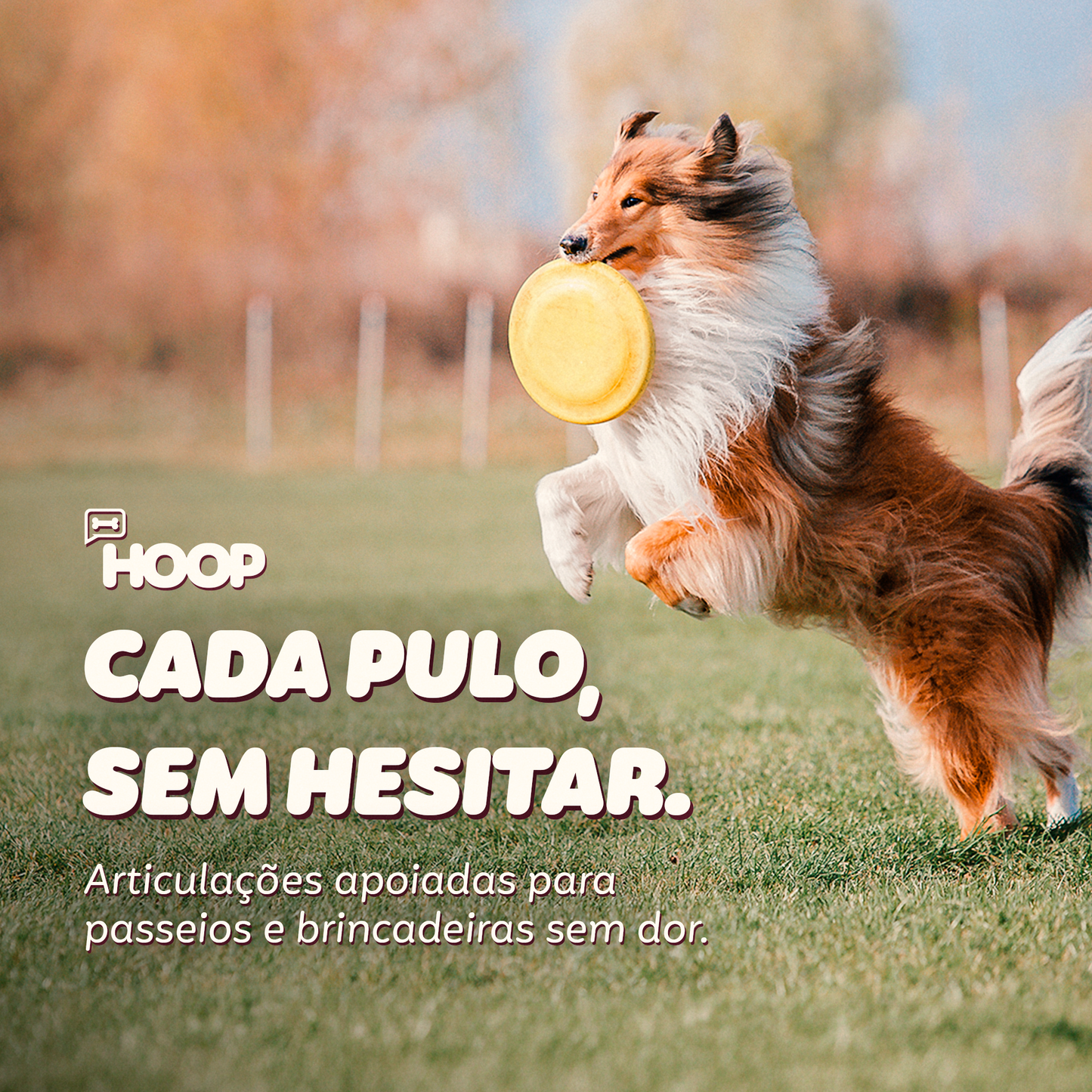 Flex - Suplemento Canino