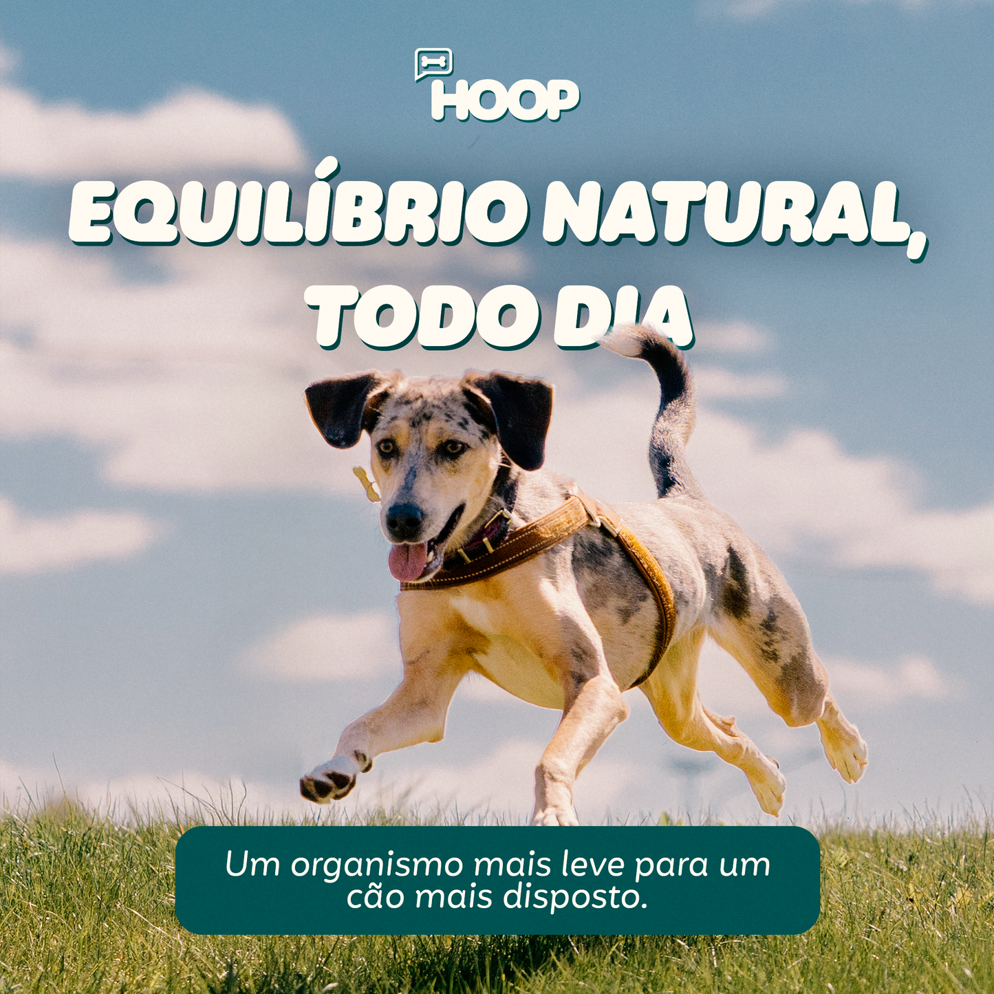 Freshlife - Suplemento Canino