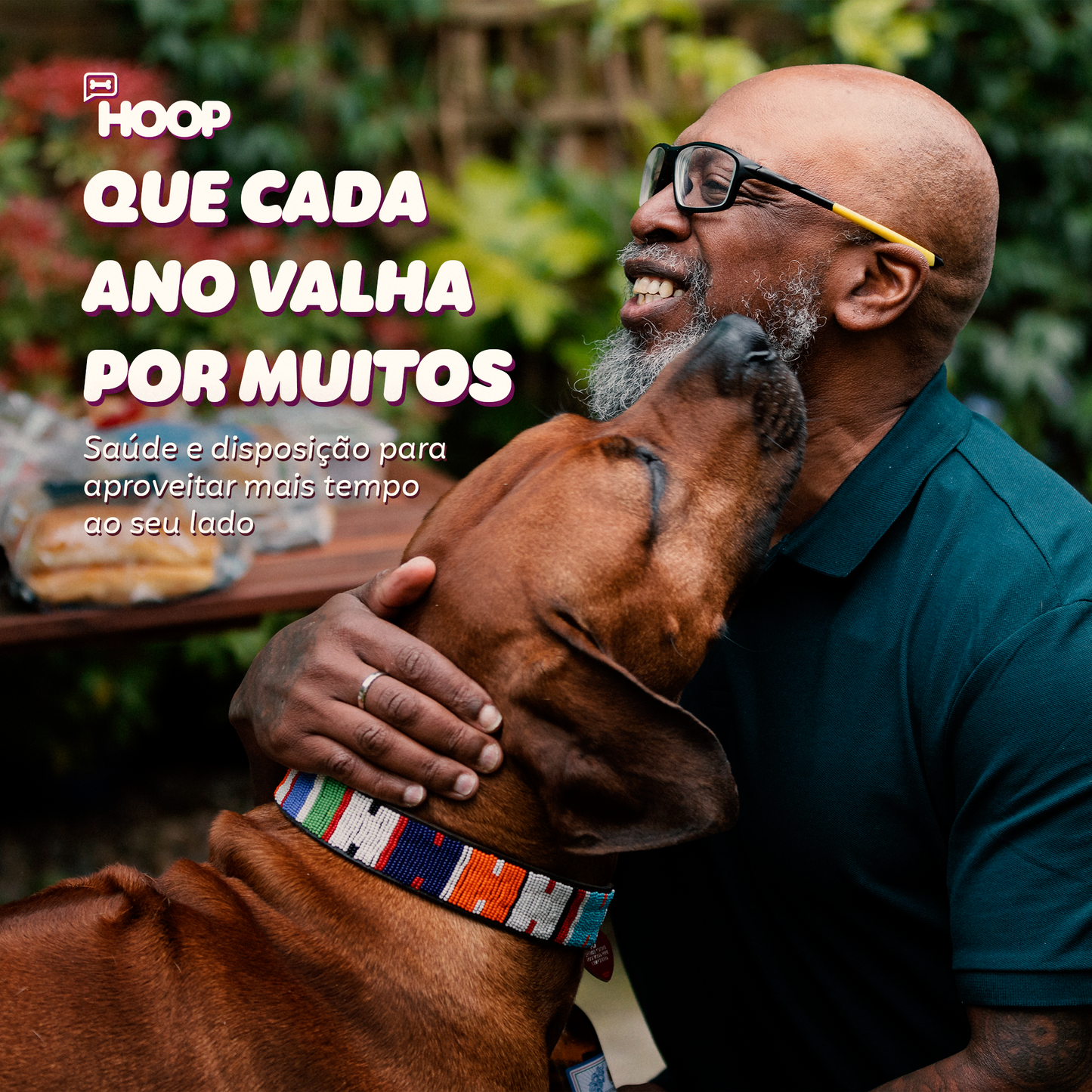 Longevidade - Suplemento Canino
