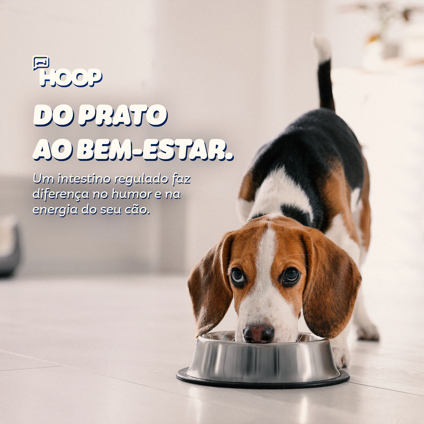 Nutripet -  Suplemento Canino