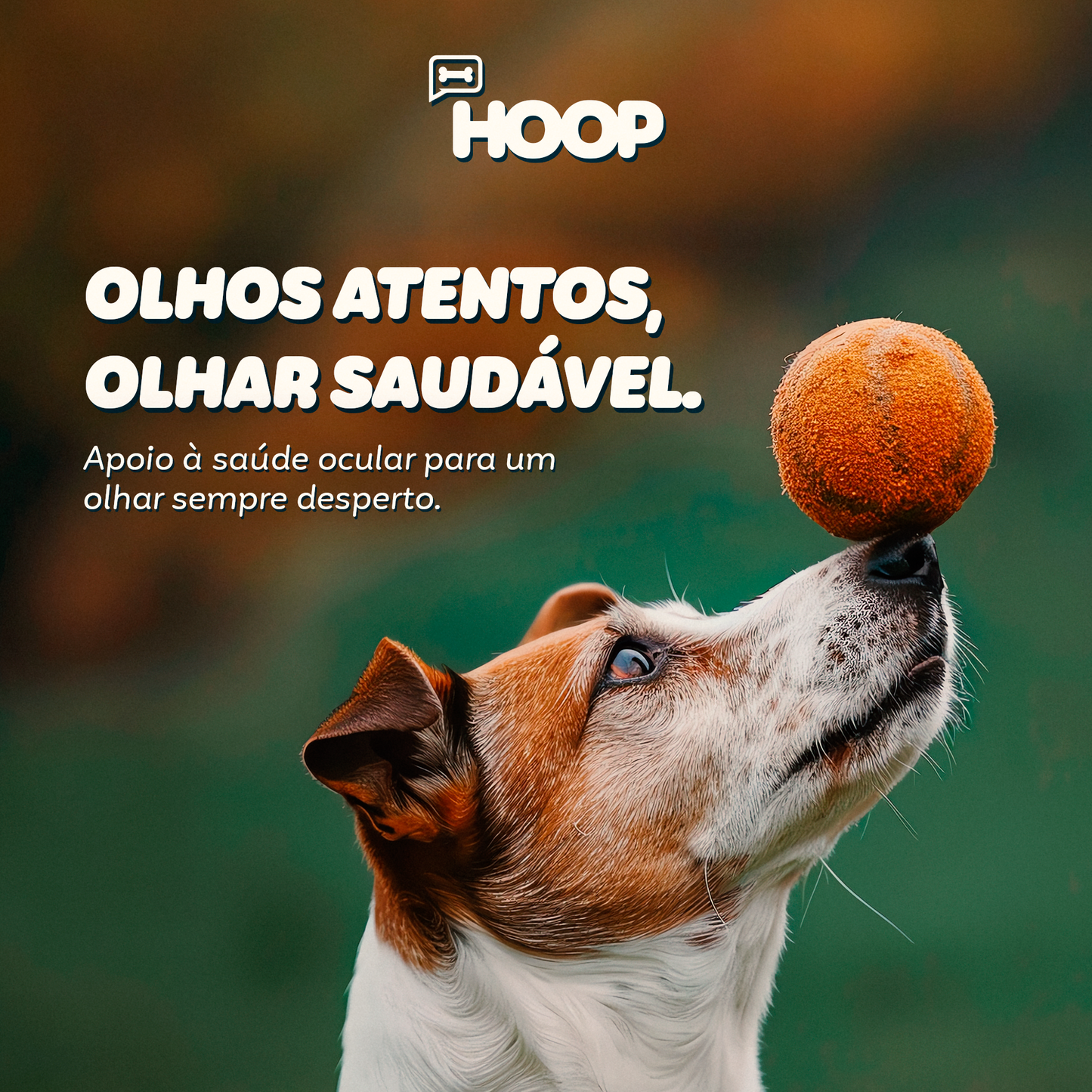 Optdog - Suplemento Canino