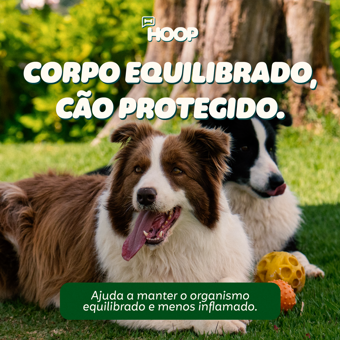Vitalypet - Suplemento Canino