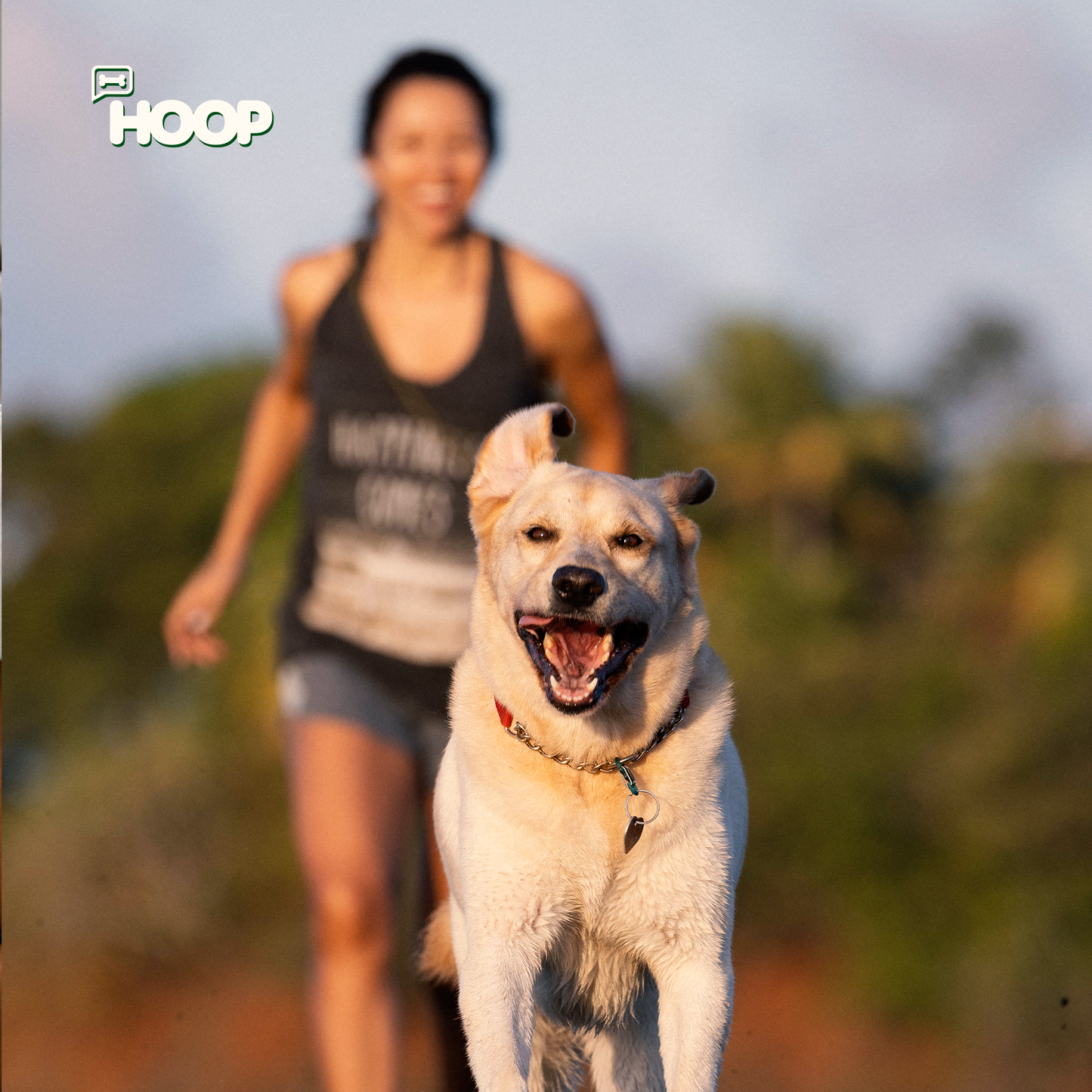 Vitalypet - Suplemento Canino