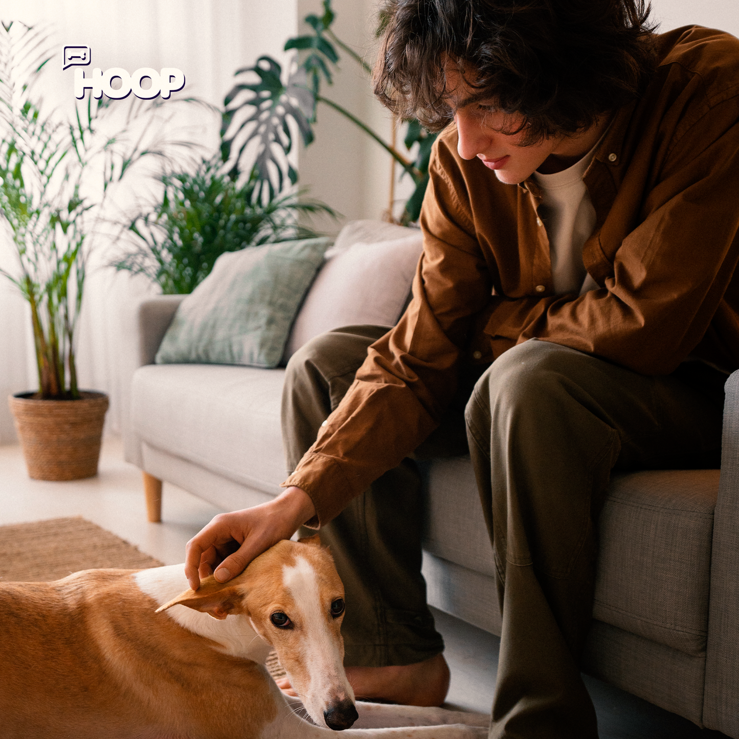 Zenpet - Suplemento Canino